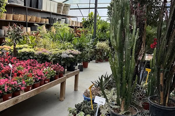 Maki Garden Centre - Resim 4