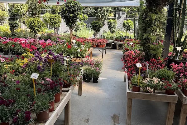 Maki Garden Centre - Resim 16