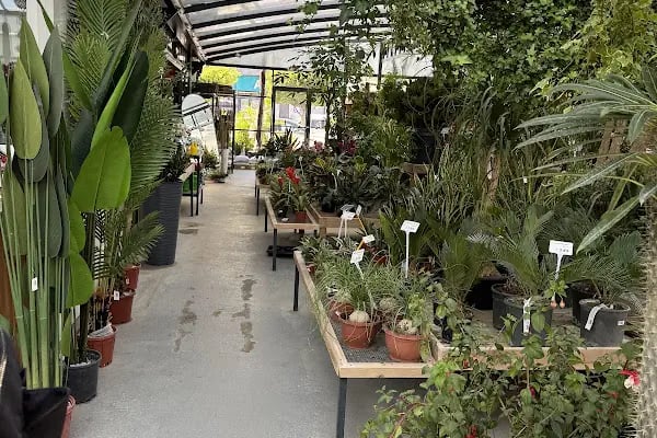 Maki Garden Centre - Resim 15