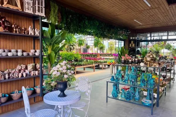 Maki Garden Centre - Resim 6