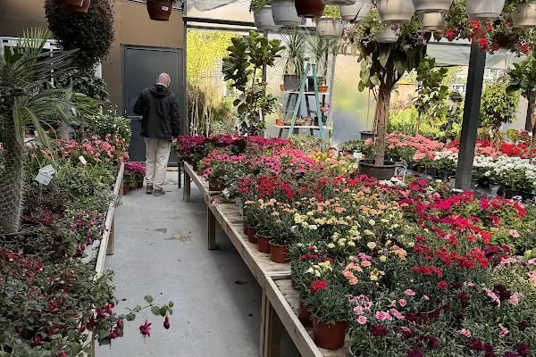 Maki Garden Centre - Resim 17