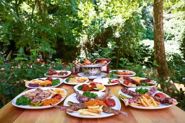Gümüşvadi Restaurant - Resim 5