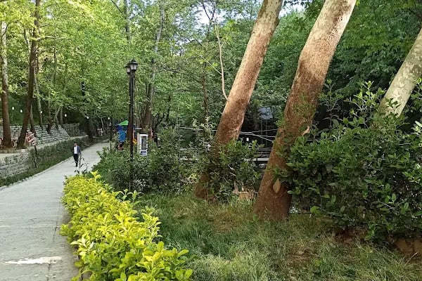 Gümüşvadi Restaurant - Resim 8