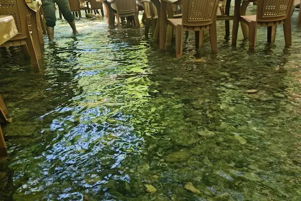 Gümüşvadi Restaurant - Resim 11