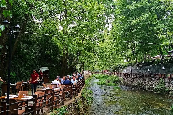 Gümüşvadi Restaurant - Resim 10