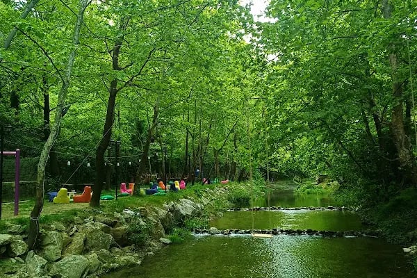 Gümüşvadi Restaurant - Resim 7