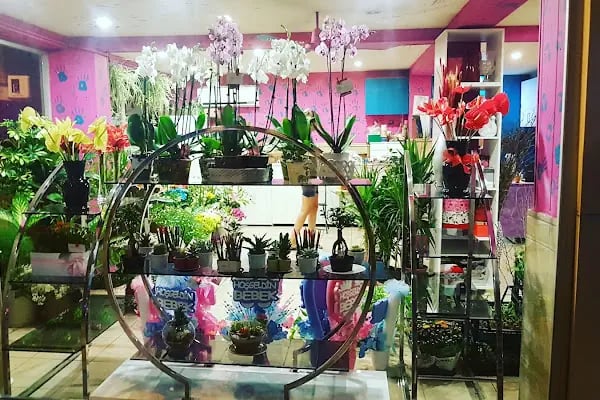Gemlik Çiçek Shop - Resim 8