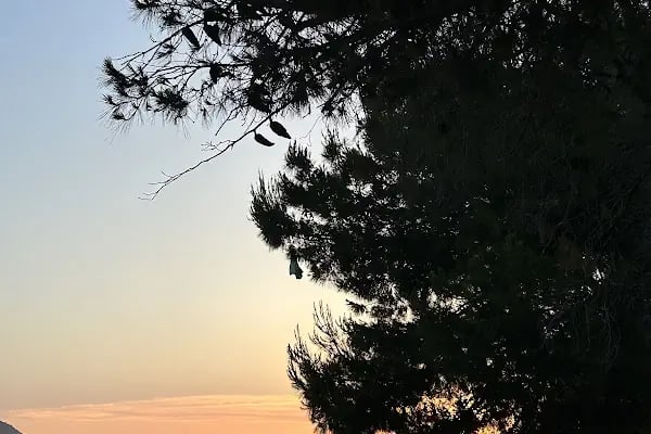 MOMO BODRUM - Resim 14