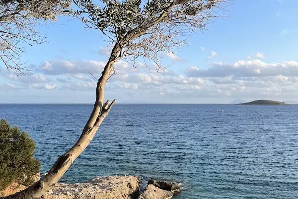 MOMO BODRUM - Resim 5