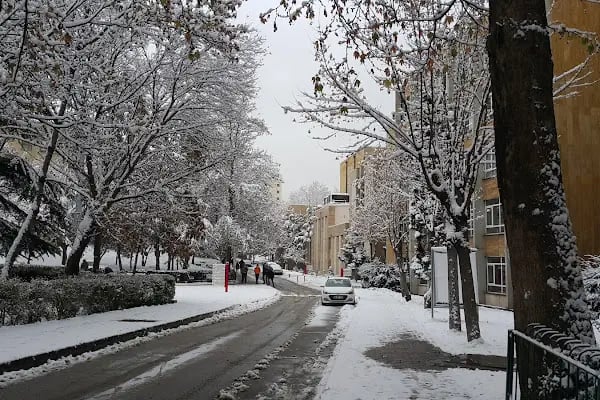 Hacettepe Üniversitesi Eczacılık Fakültesi - Resim 3