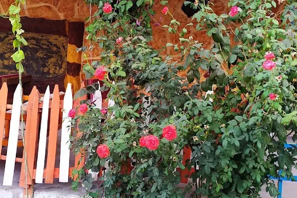 Nil Cafe - Resim 18