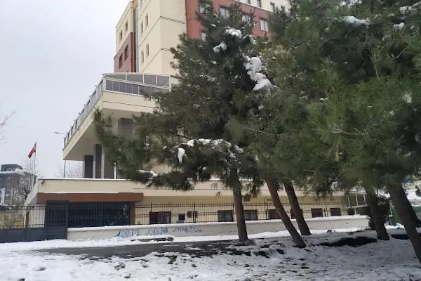 Çınar - Resim 5