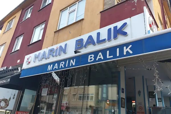 Marin balik - Resim 4