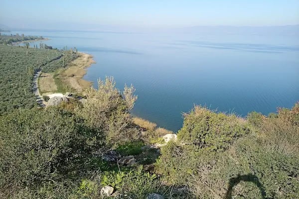 Rock n’ Lake - Resim 6