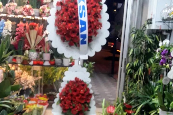 Sema Çiçek - Resim 7
