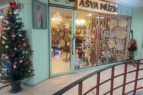 Asya Müzik Aletleri Avcılar - Resim 13