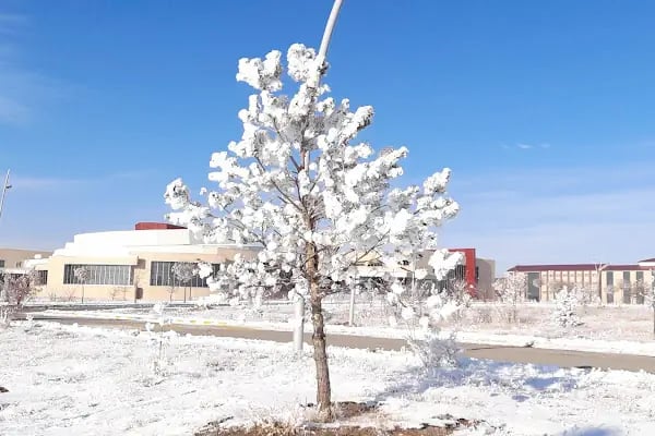 Kafkas Üniversitesi İlahiyat Fakültesi - Resim 2