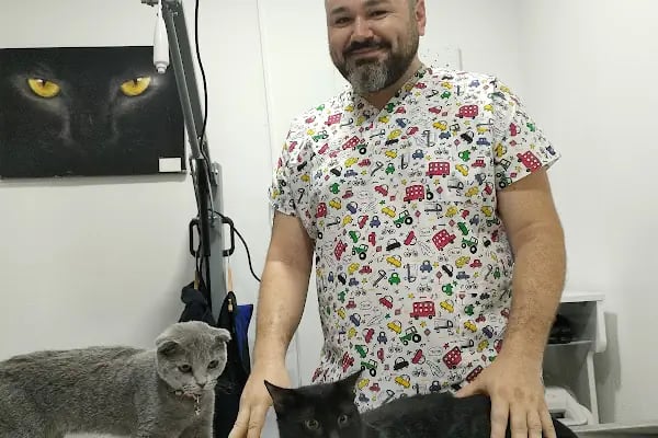 Denizli pethane 20/48 veteriner kliniği - Resim 6