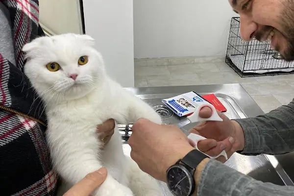 Salihli Yaşam Veteriner Kliniği - Resim 20