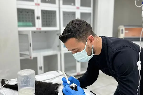 Salihli Yaşam Veteriner Kliniği - Resim 16