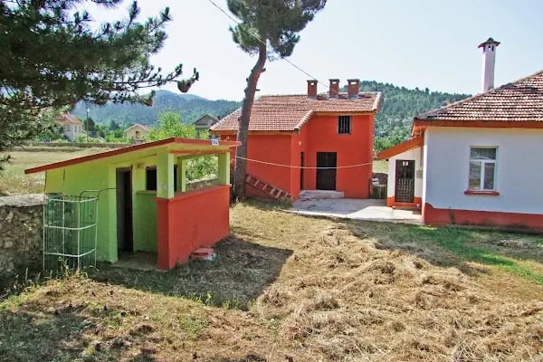 Susuz Şahap Cami - Resim 5