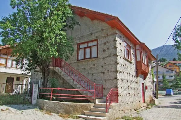 Susuz Şahap Cami - Resim 8