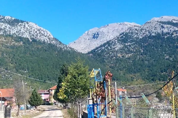 Susuz Şahap Cami - Resim 4