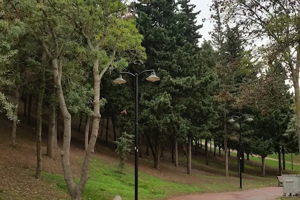 Mustafa Tete Parkı - Resim 14