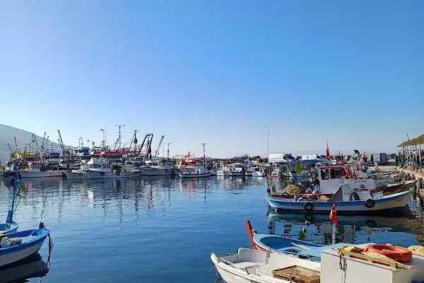 Dikili Limanı - Resim 2
