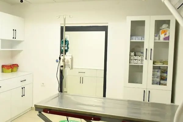 Boncuk Pet Hayvan Hastanesi - Diyarbakır - Resim 2