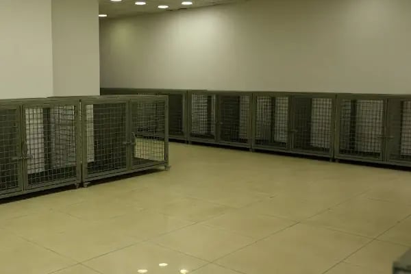 Boncuk Pet Hayvan Hastanesi - Diyarbakır - Resim 8