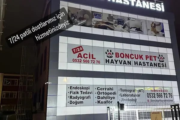 Boncuk Pet Hayvan Hastanesi - Diyarbakır - Resim 13