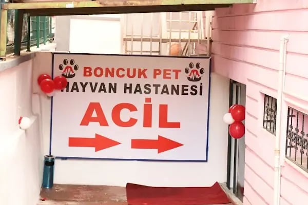 Boncuk Pet Hayvan Hastanesi - Diyarbakır - Resim 5