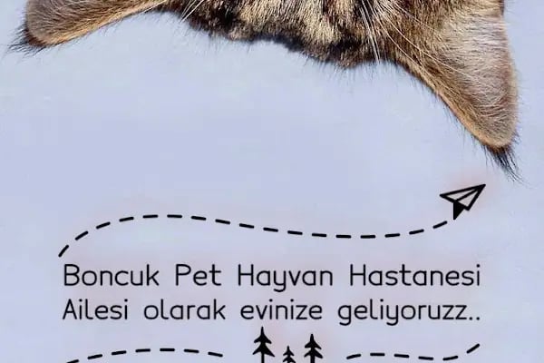 Boncuk Pet Hayvan Hastanesi - Diyarbakır - Resim 11