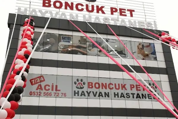 Boncuk Pet Hayvan Hastanesi - Diyarbakır - Resim 9