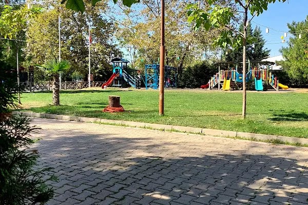 Misi Yaşam - Resim 15