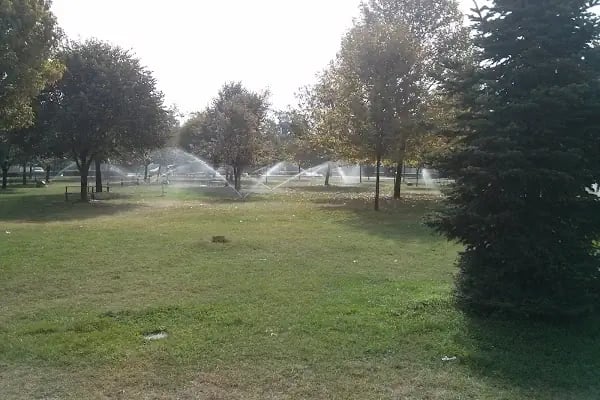 Yeni Karaman Yarı Olimpik Yüzme Havuzu - Resim 5