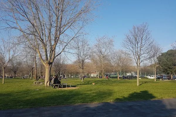 Yeni Karaman Yarı Olimpik Yüzme Havuzu - Resim 11