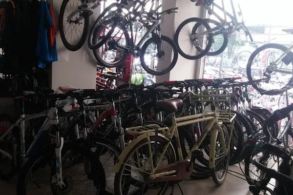 Cansunar Bisiklet - Resim 20