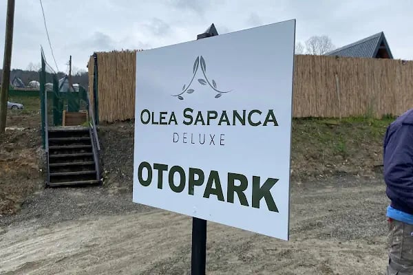 Olea Deluxe Sapanca - Resim 6