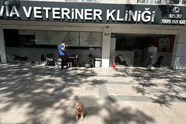 Via Veteriner Kliniği - Resim 17
