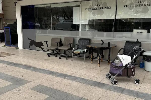 Via Veteriner Kliniği - Resim 16
