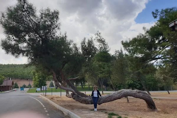Extrem Park Kapıçam - Resim 18