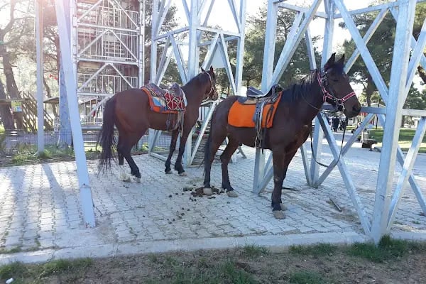 Extrem Park Kapıçam - Resim 15