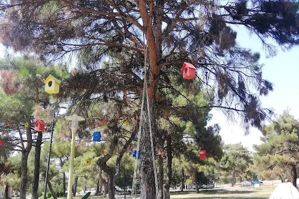 Extrem Park Kapıçam - Resim 12