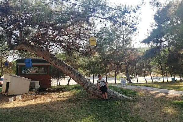 Extrem Park Kapıçam - Resim 13