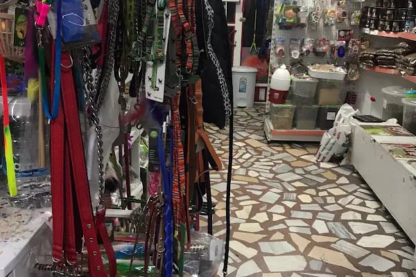 MİRAY PETSHOP AKVARYUM - Resim 7
