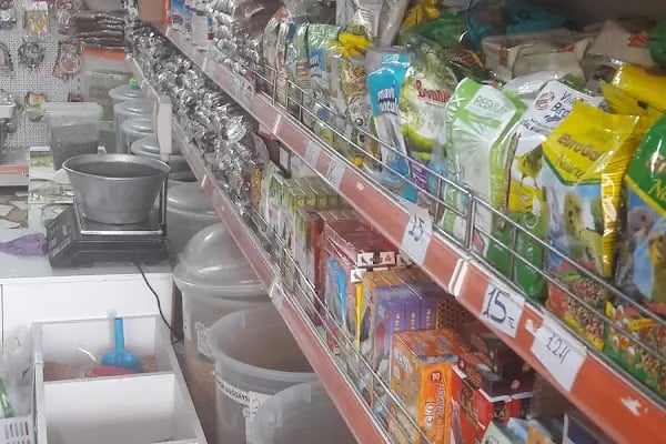 MİRAY PETSHOP AKVARYUM - Resim 6