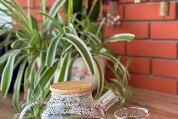 Epilanya Güzellik Salonu | ALANYA (Kadınlara özel) - Resim 7