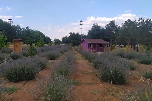 Rabia Parkı - Resim 3